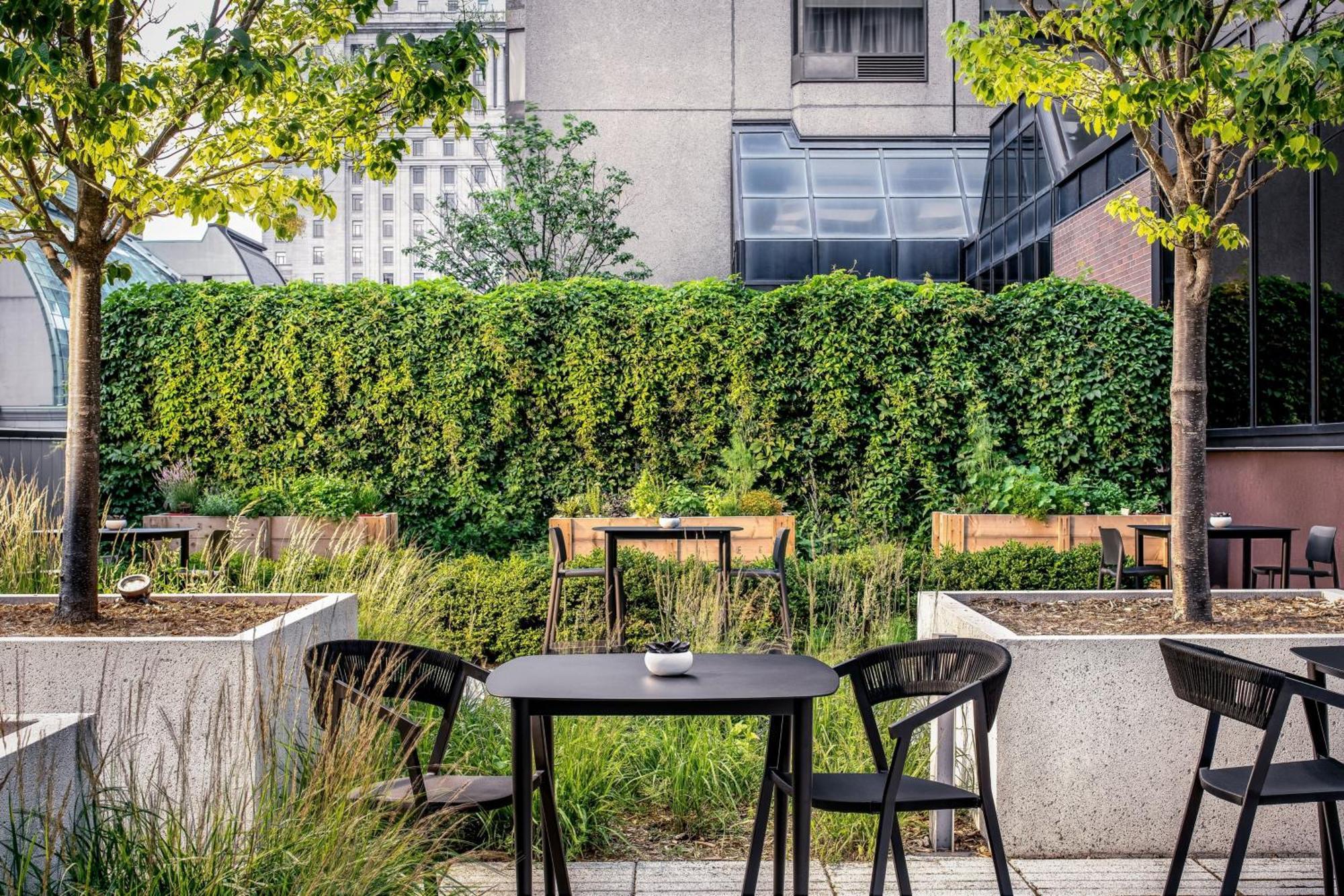 Le Centre Sheraton Montreal Hotel Eksteriør billede